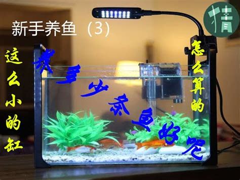 魚缸魚數量計算|計算魚缸魚量神器